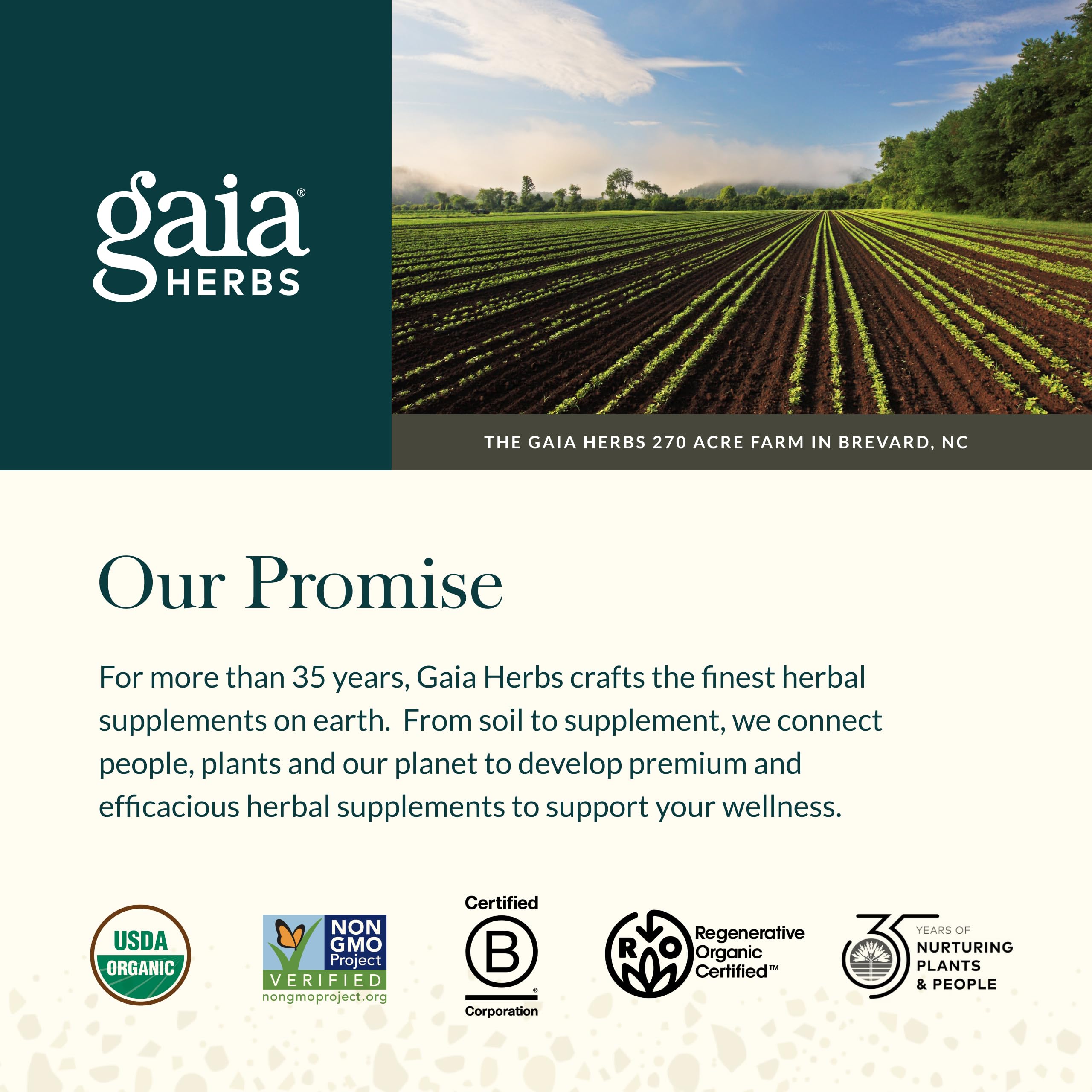 Gaia Herbs Echinacea Goldenseal Supreme goldenseal root close up spotlights key component.