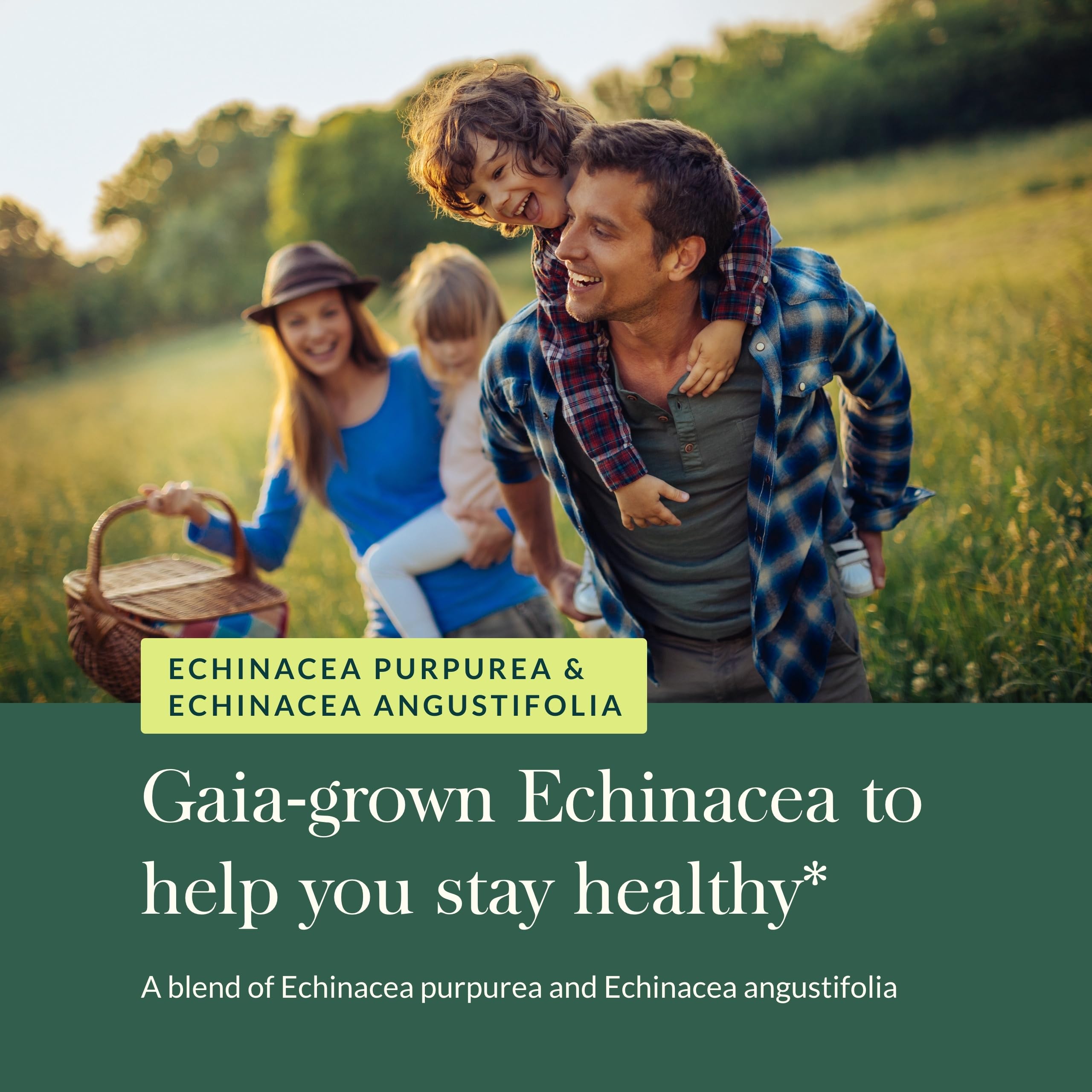 Gaia Herbs Echinacea Supreme packaging front on a clean surface