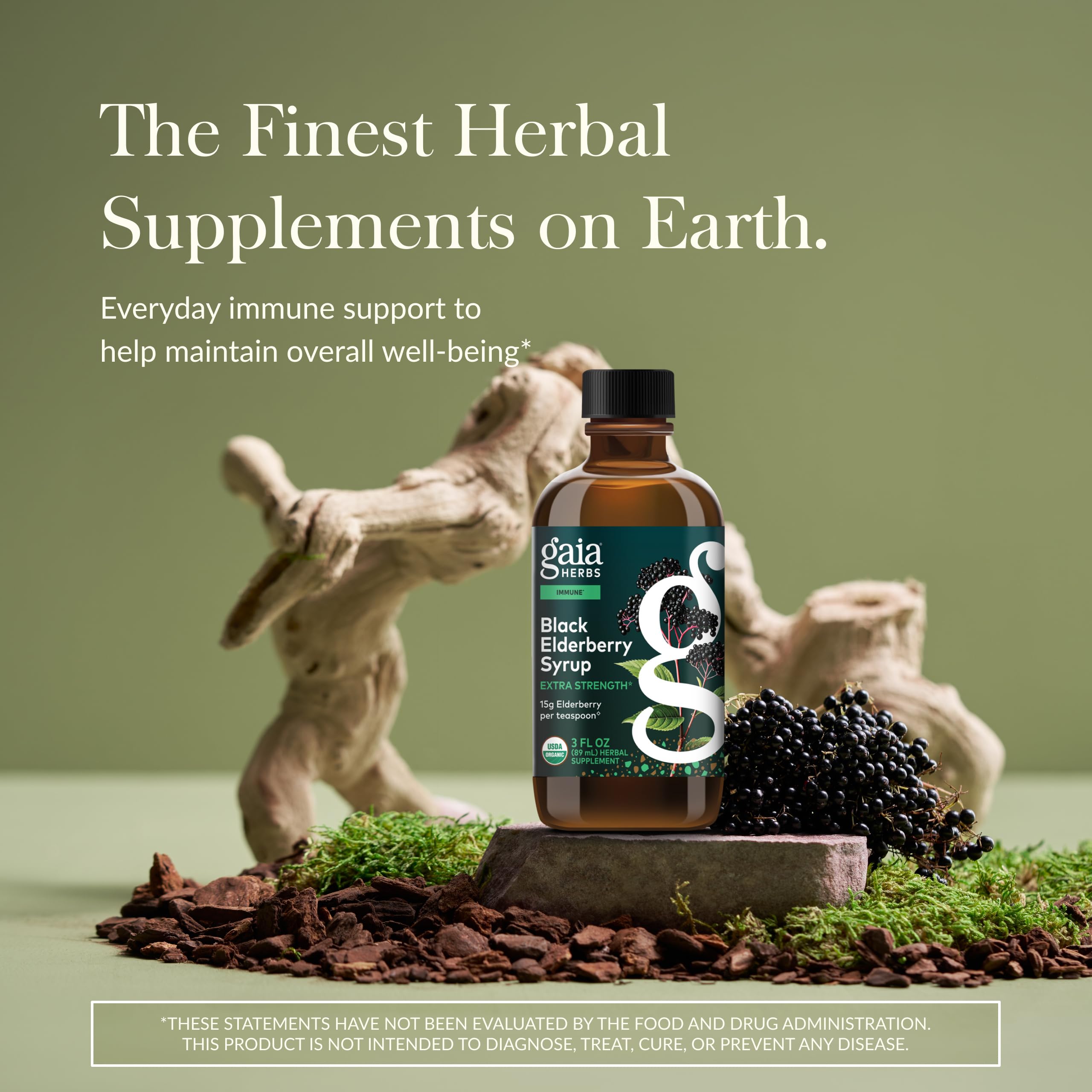 Close-up of Gaia Herbs elderberries and five-ingredient formula for natural wellness