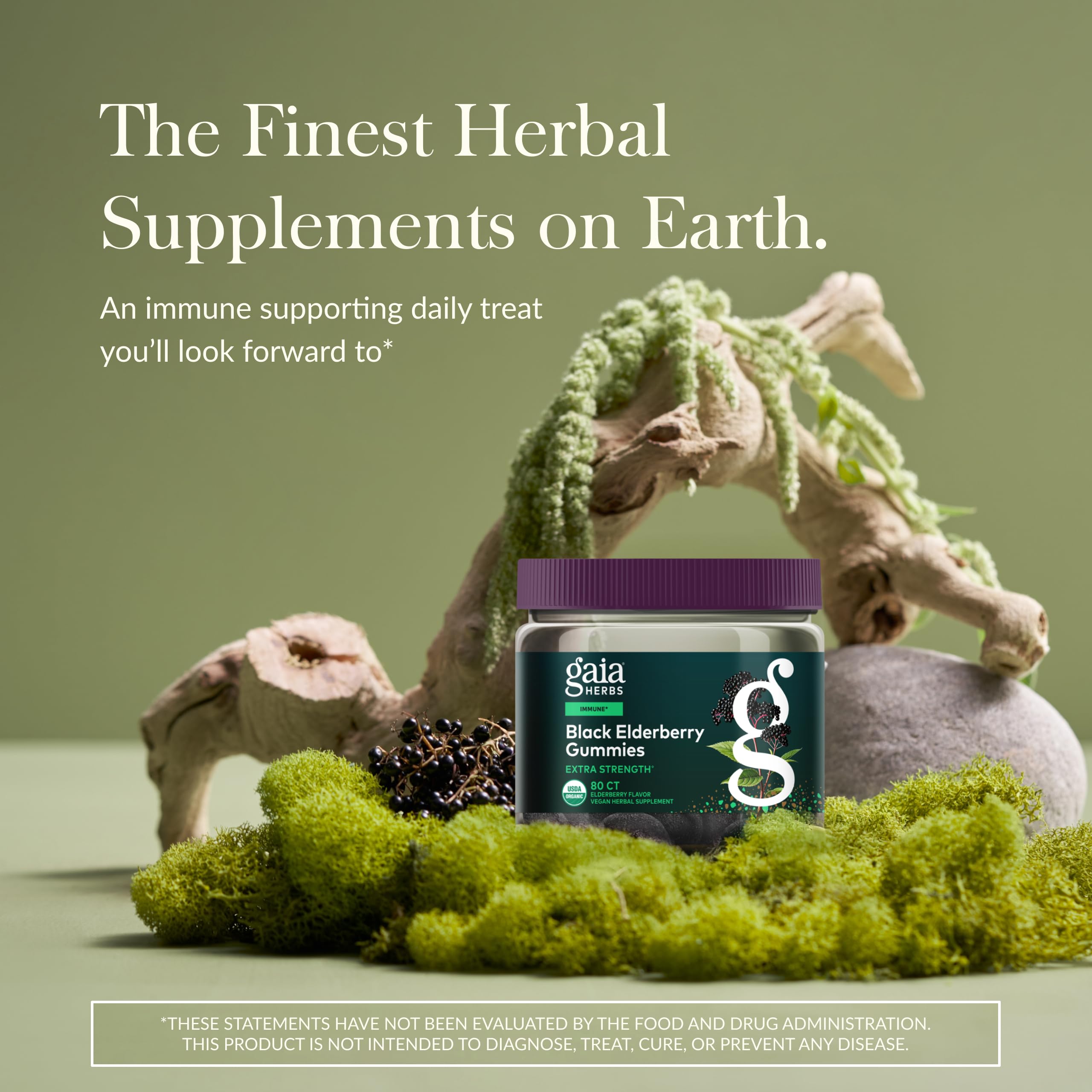 Gaia Herbs elderberry extract bottle side view highlighting potency.