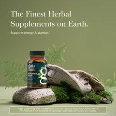 Gaia Herbs Eleuthero Root capsules closeup for daily stamina.