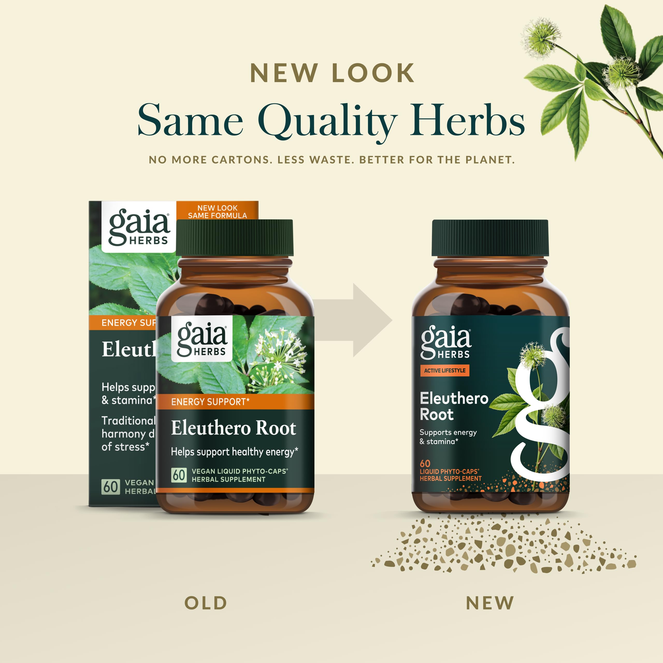 Gaia Herbs Eleuthero Root lifestyle desk scene suggests focus and endurance.