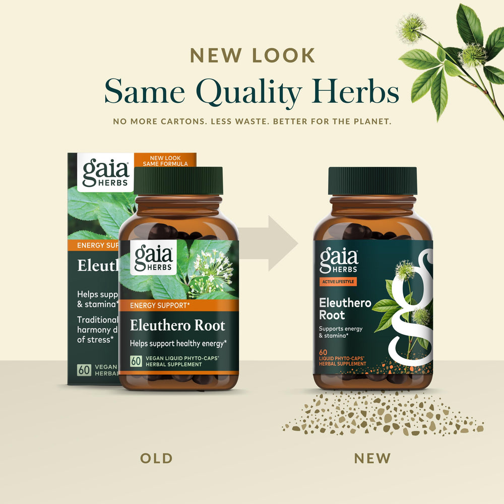 Gaia Herbs Eleuthero Root lifestyle desk scene suggests focus and endurance.