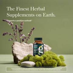 Gaia Herbs Emotional Balance bottle close-up highlighting label detail for quality.