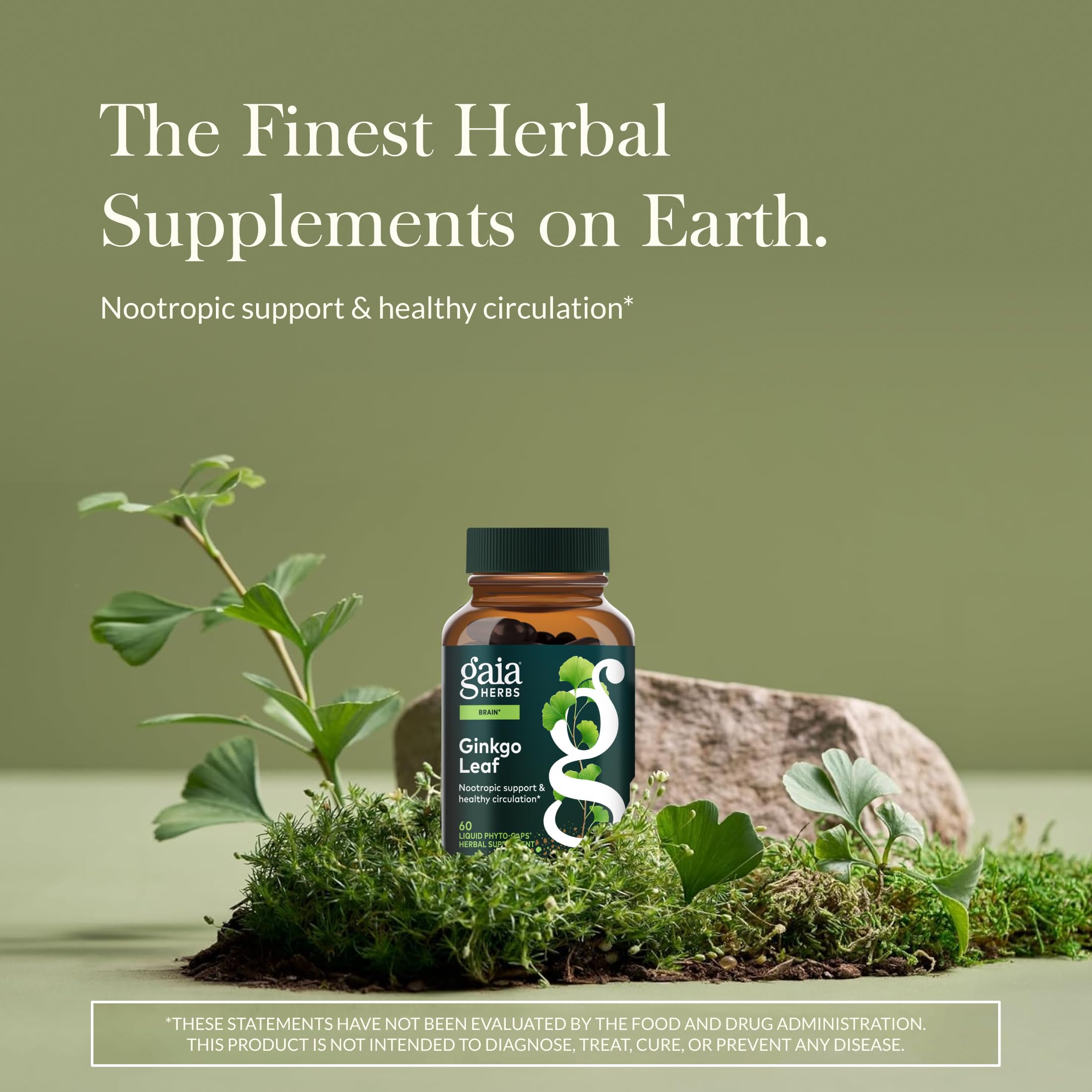 Gaia Herbs Ginkgo Leaf capsules for easy, daily herbal wellness routine.
