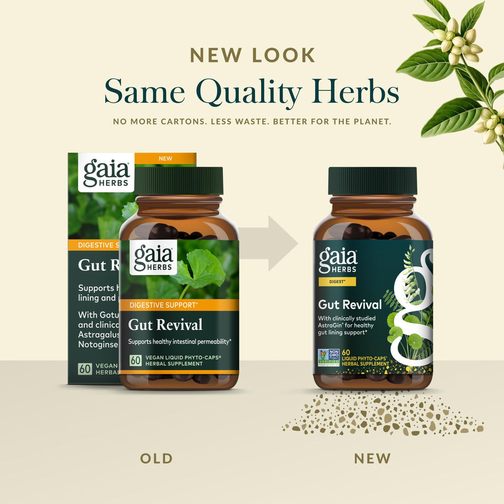 Gaia Herbs Gut Revival supplement tray featuring capsules for daily gut routine.