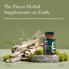Gaia Herbs close-up of vegan phyto-caps showing capsule texture and consistency