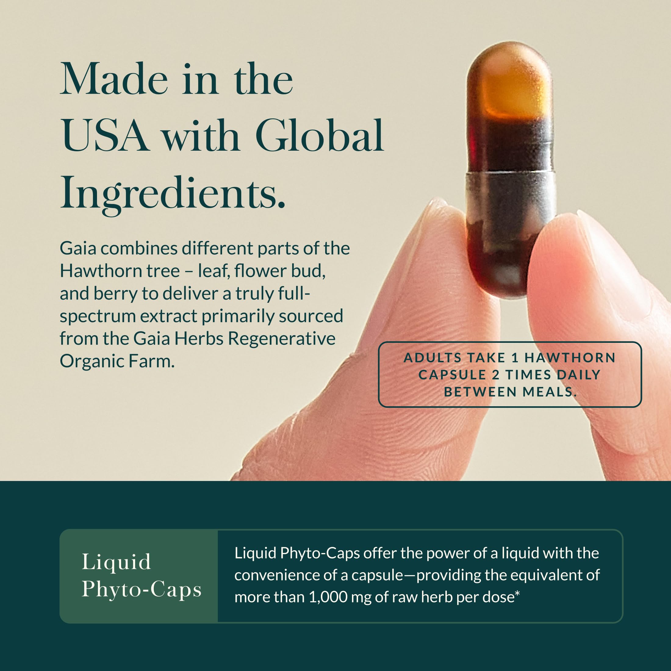 Gaia Herbs Hawthorn Supreme label detail highlights harvest timing