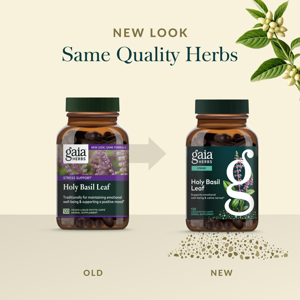 Global sourcing map for Gaia Herbs Holy Basil Leaf ingredients.