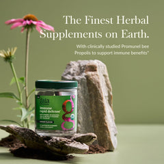 Gaia Herbs Immune Rapid Defense gummies close-up showing texture and color for daily use