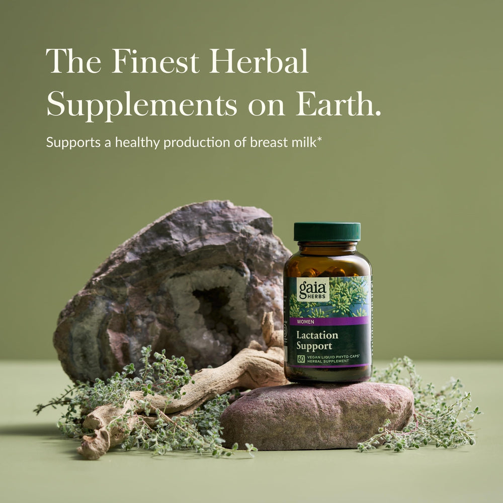 Fenugreek seed ingredient in Gaia Herbs Lactation Support promoting milk production