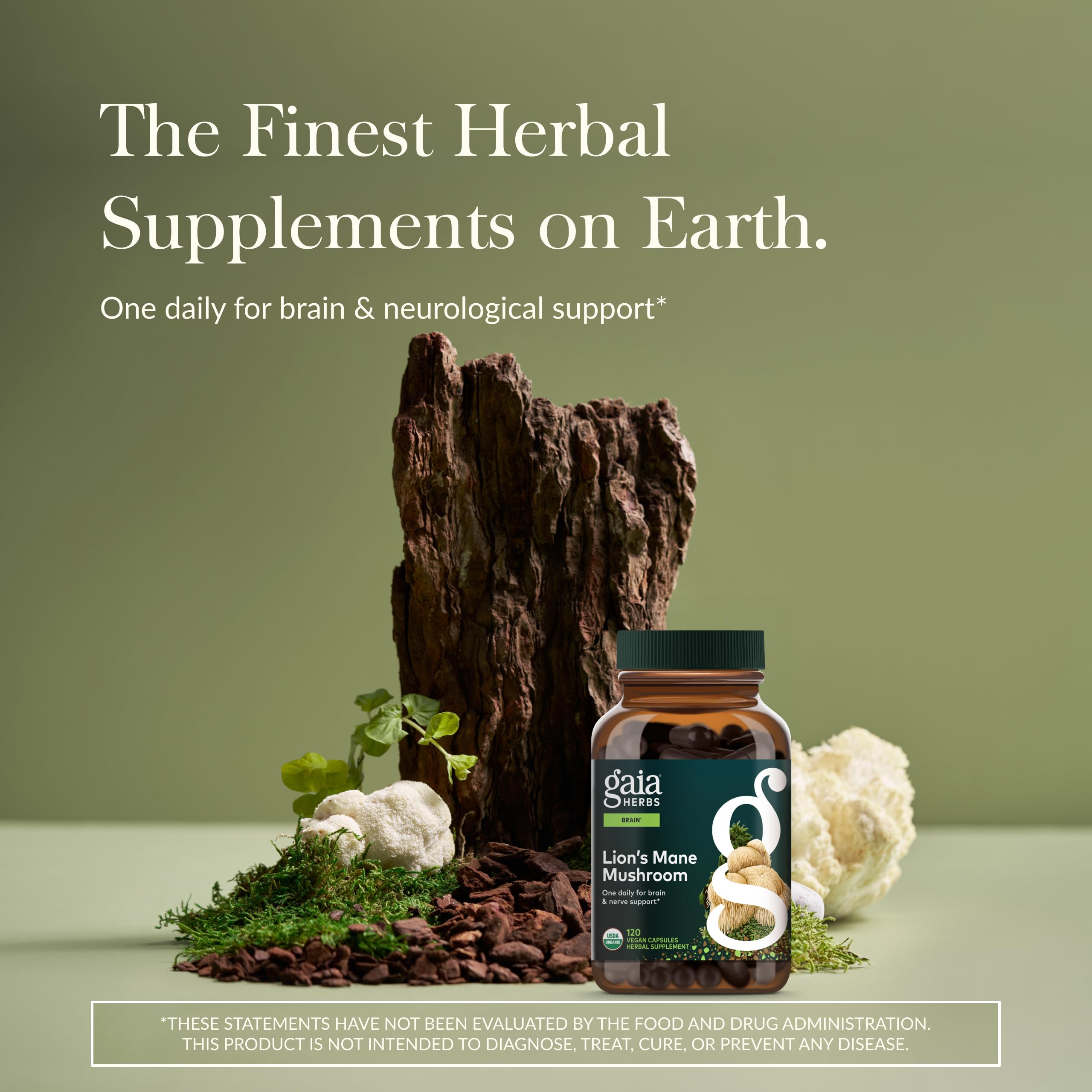 Gaia Herbs Lion's Mane bottle pour, easy daily use for focus and nerve health