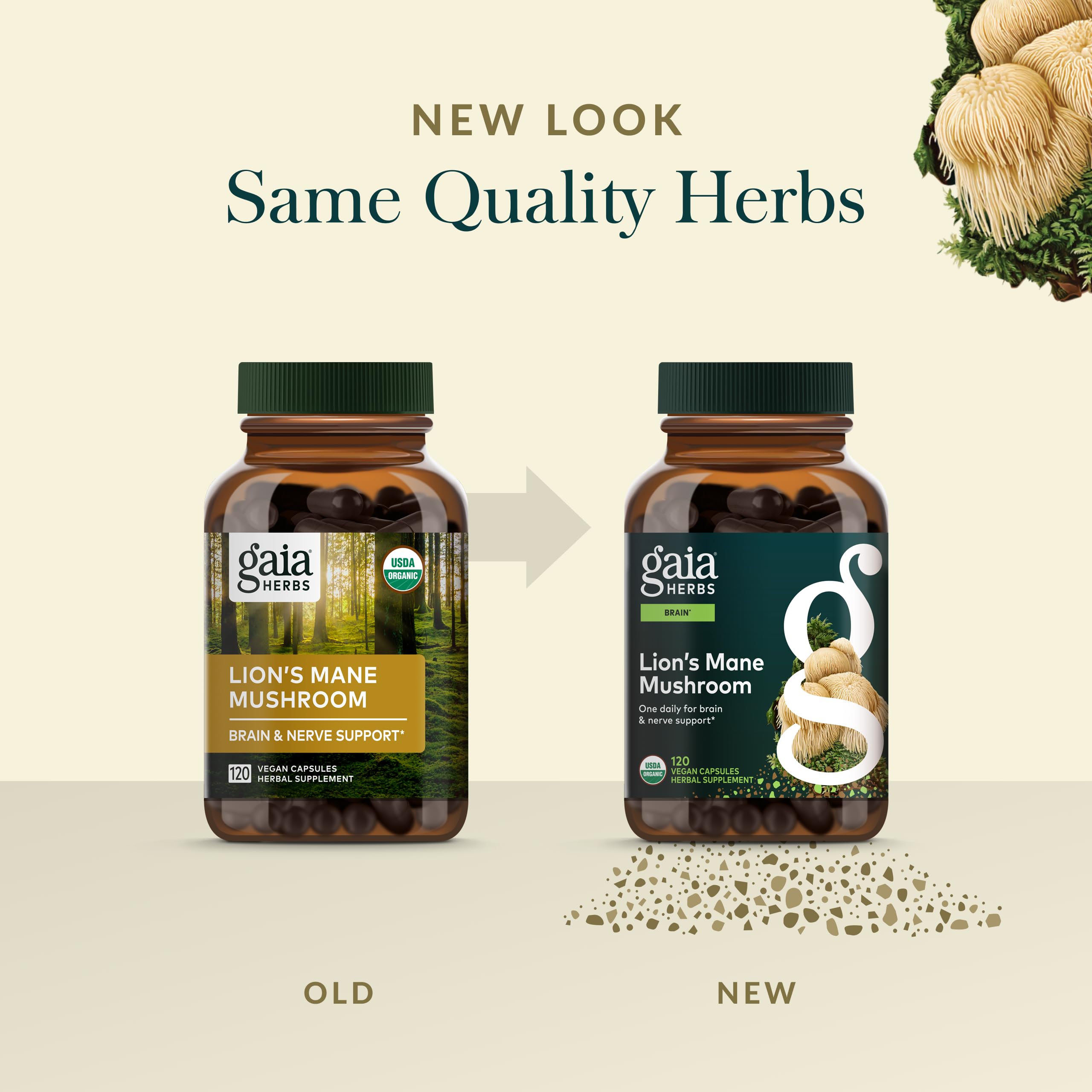 Gaia Herbs Lion's Mane fruiting bodies harvested for potency