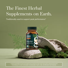 Gaia Herbs Maca Root bottle label highlights organic, gelatinized maca for easier digestion