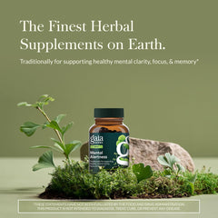 Gaia Herbs Mental Alertness bottle back label with herb details