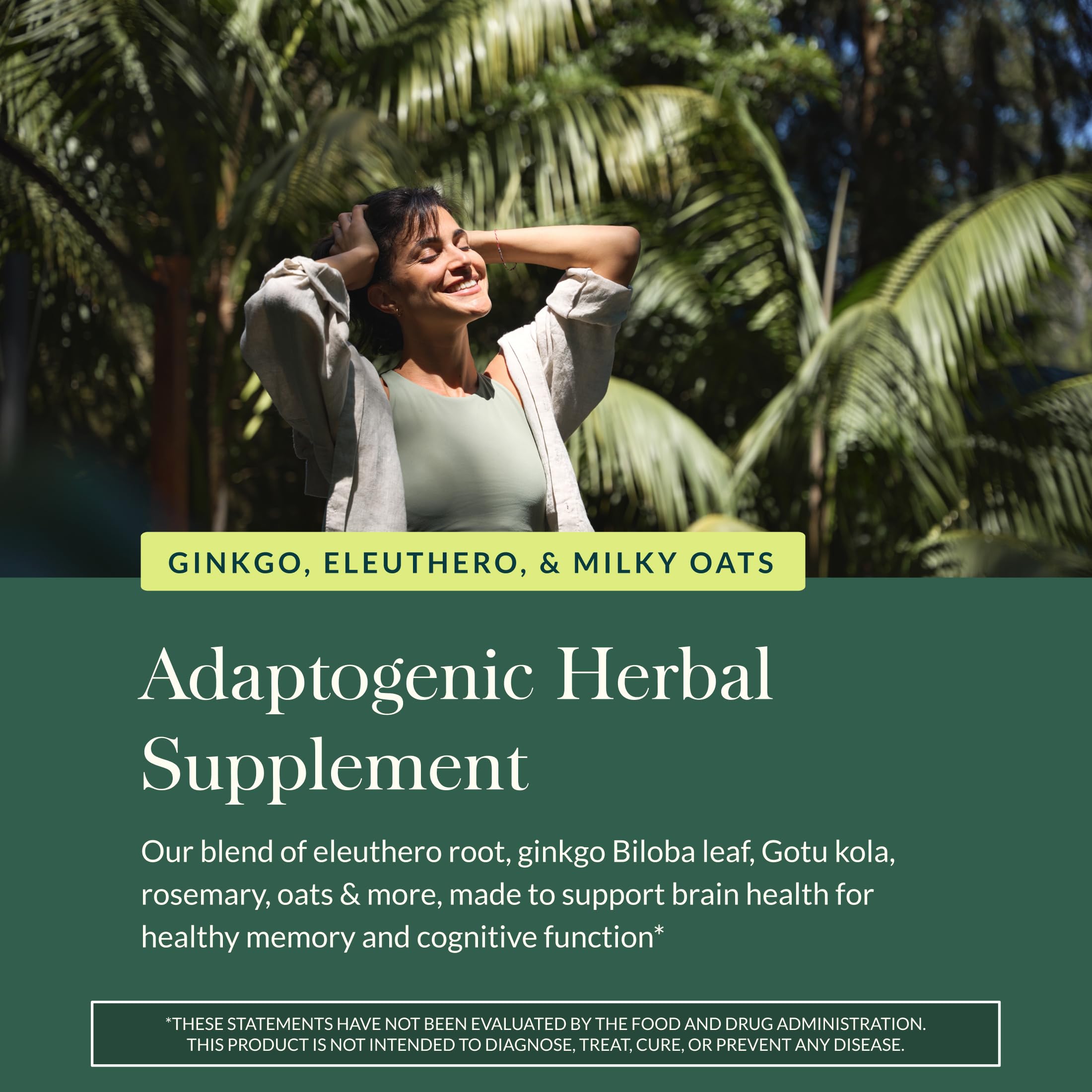 Ingredients scene of Gaia Herbs Mental Alertness highlighting eleuthero and ginkgo