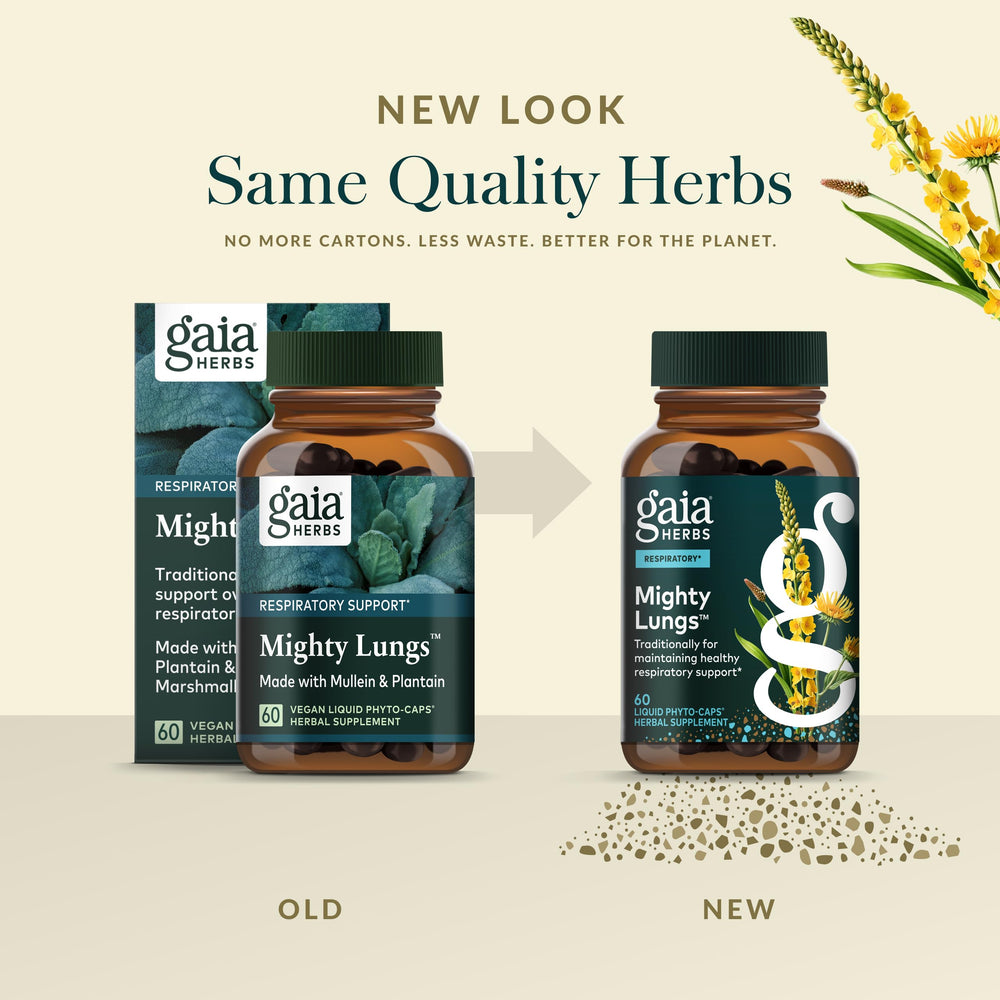 Gaia Herbs Mighty Lungs elecampane root accent highlights traditional roots in fragrant blends.