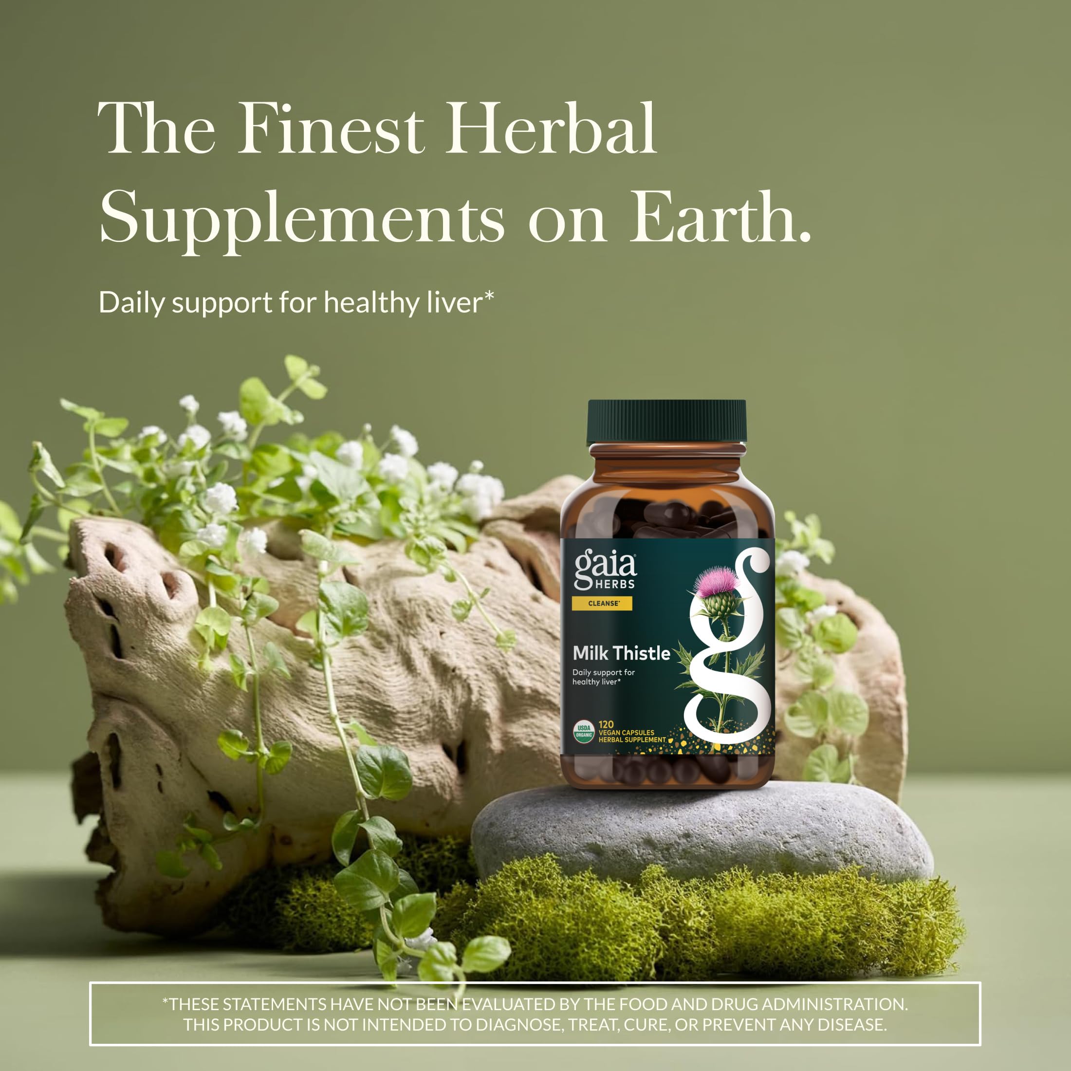 Capsules lined up demonstrating vegan plant-based milk thistle formulation.