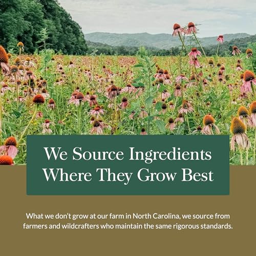 Gaia Herbs Nootropic Focus brand heritage emphasizes purity and quality