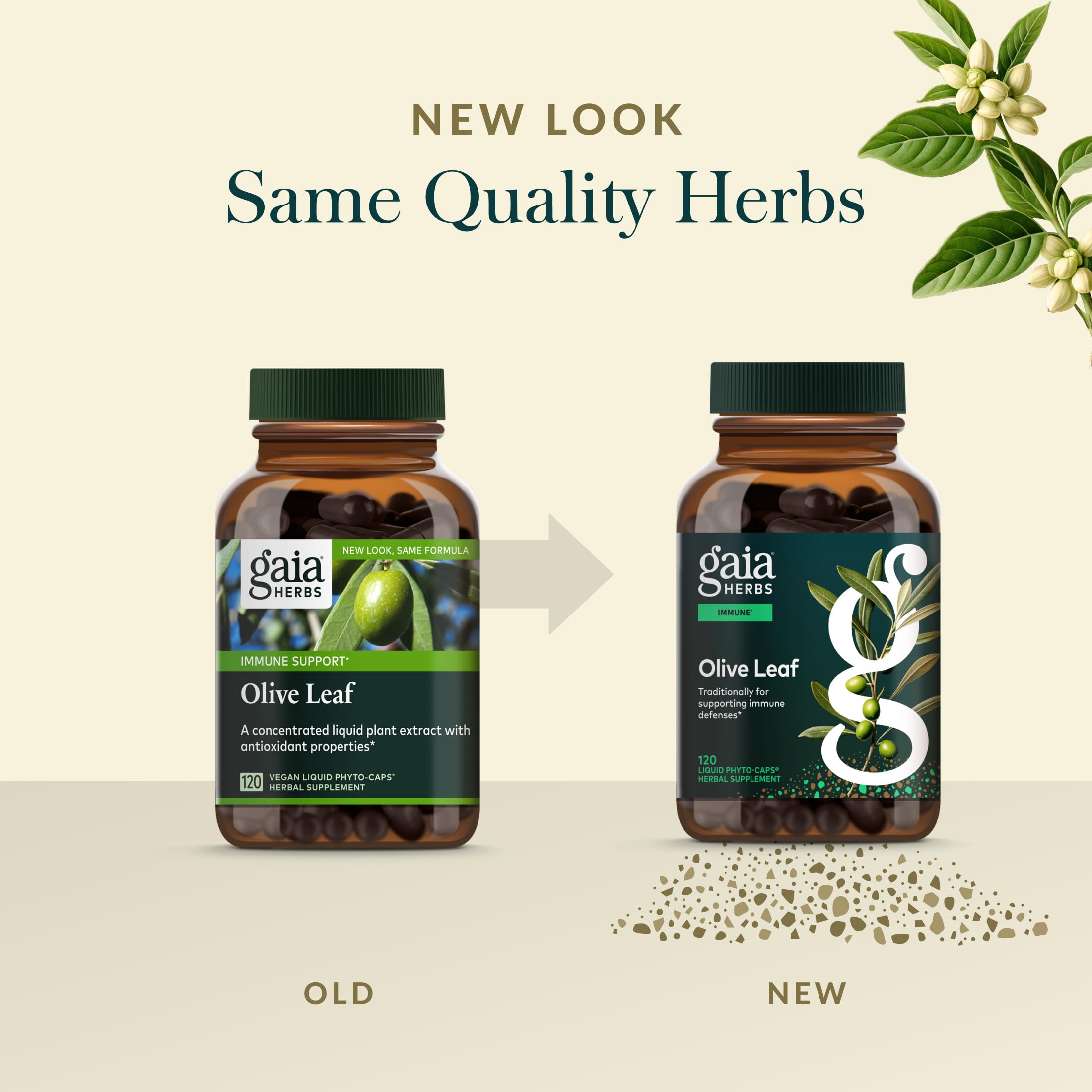Gaia Herbs Olive Leaf co-op farms sourcing scene
