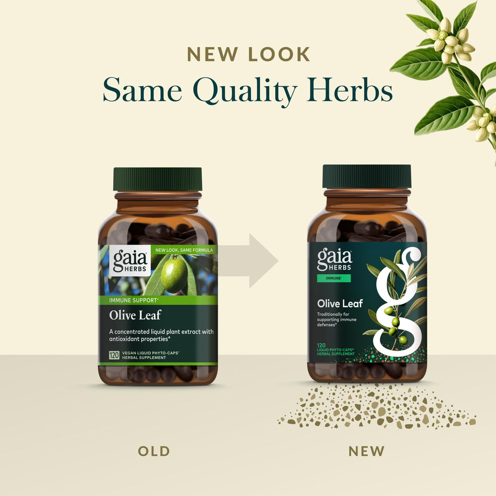 Gaia Herbs Olive Leaf co-op farms sourcing scene