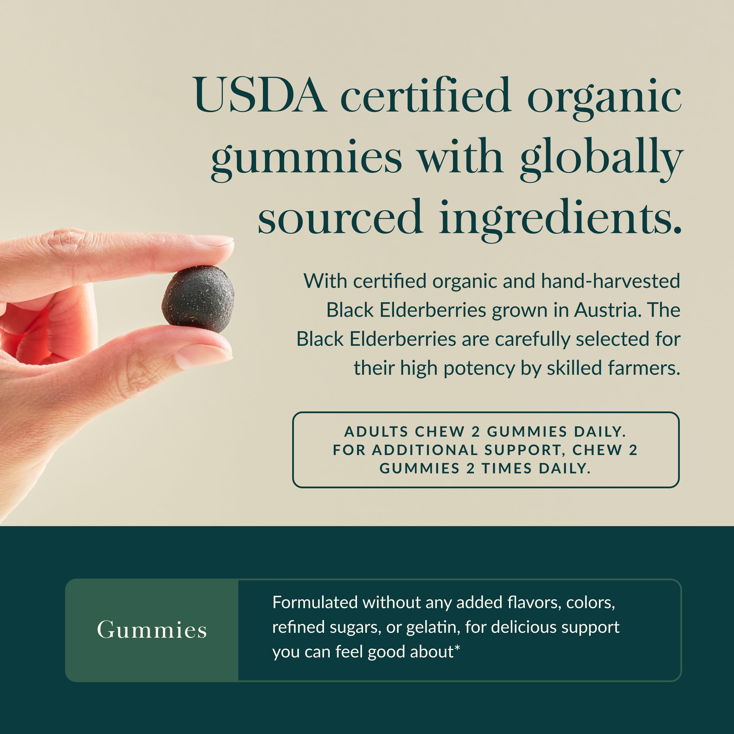 Organic elderberries certification logo beside Gaia Herbs label.