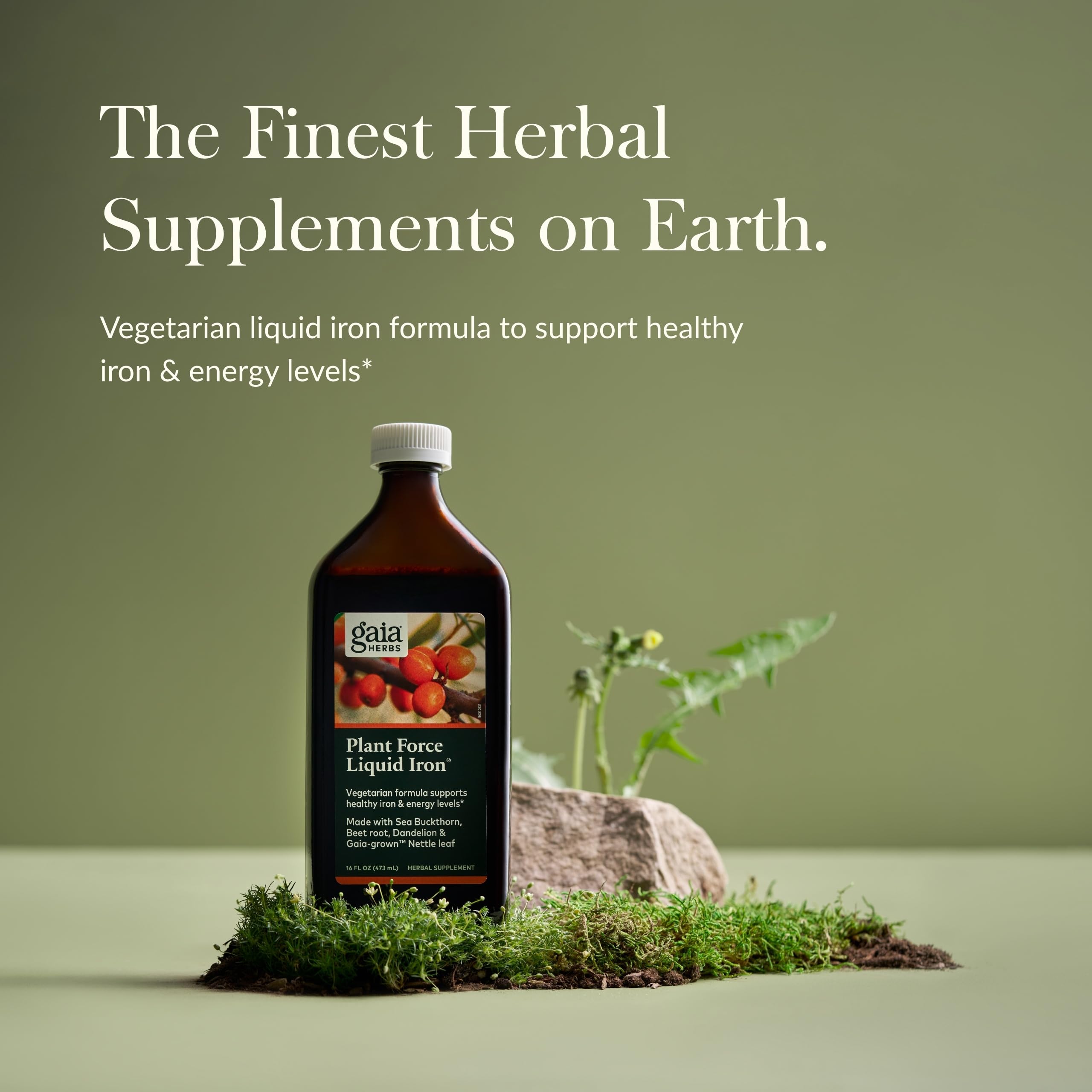 Gaia Herbs Plant Force Liquid Iron label closeup highlights vegan, purity-tested formula.