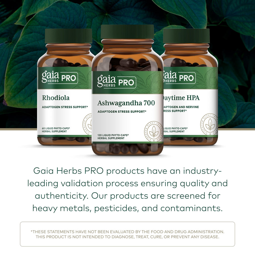 GAIA Herbs PRO Ashwagandha 700 serving pack ready for daily routines.
