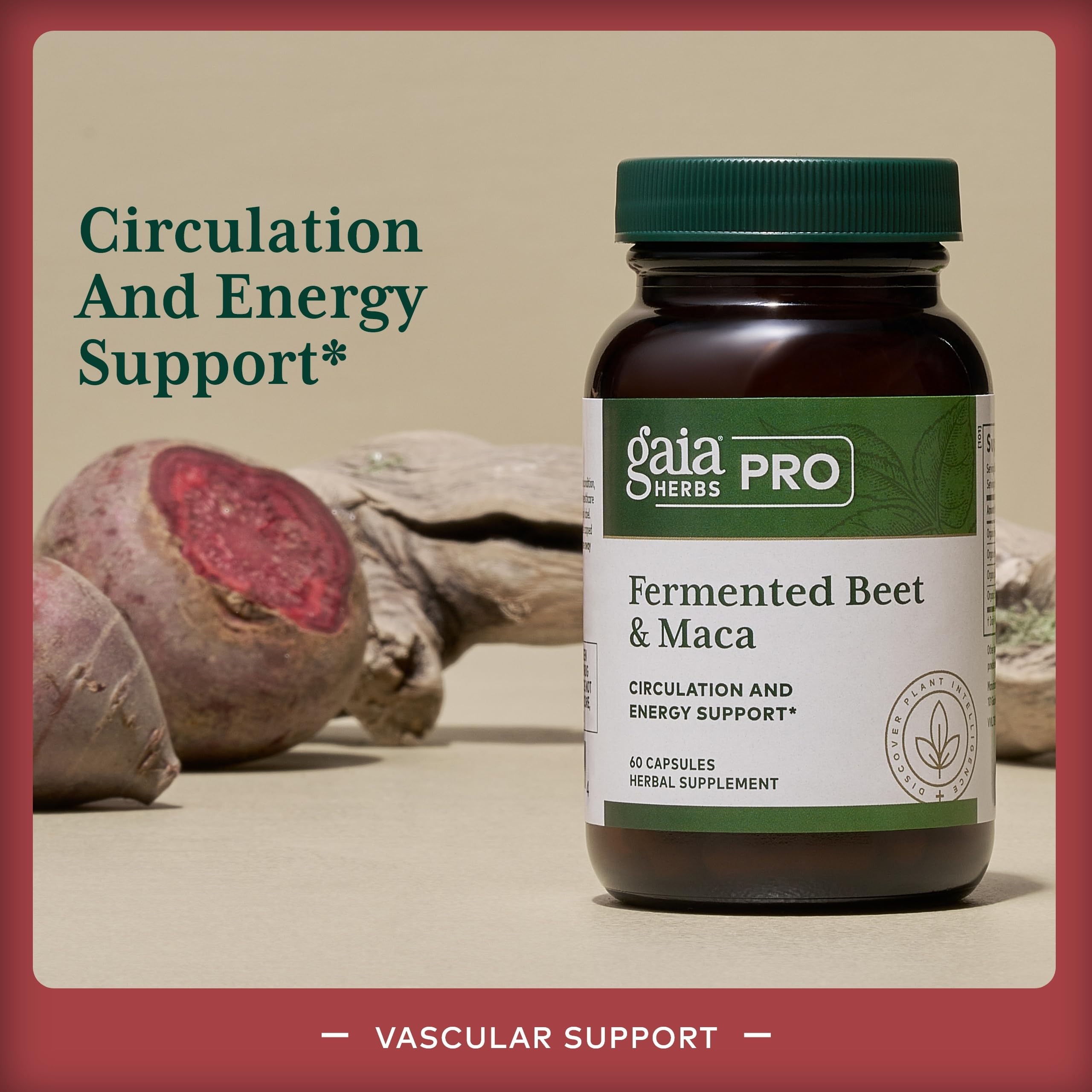 Gaia Herbs PRO Fermented Beet & Maca beetroot fermentation closeup highlighting digestibility benefits.