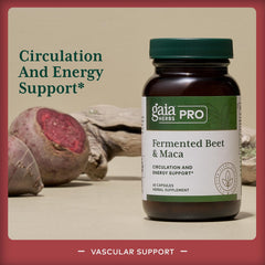 Gaia Herbs PRO Fermented Beet & Maca beetroot fermentation closeup highlighting digestibility benefits.