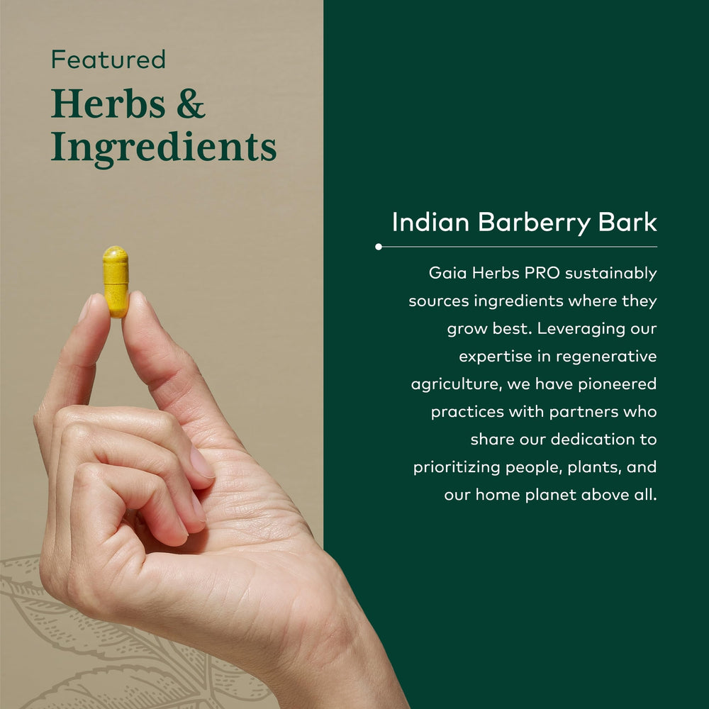 GAIA Herbs PRO Berberine Metabolic visual highlighting berberine from Indian barberry bark