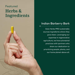 GAIA Herbs PRO Berberine Metabolic visual highlighting berberine from Indian barberry bark