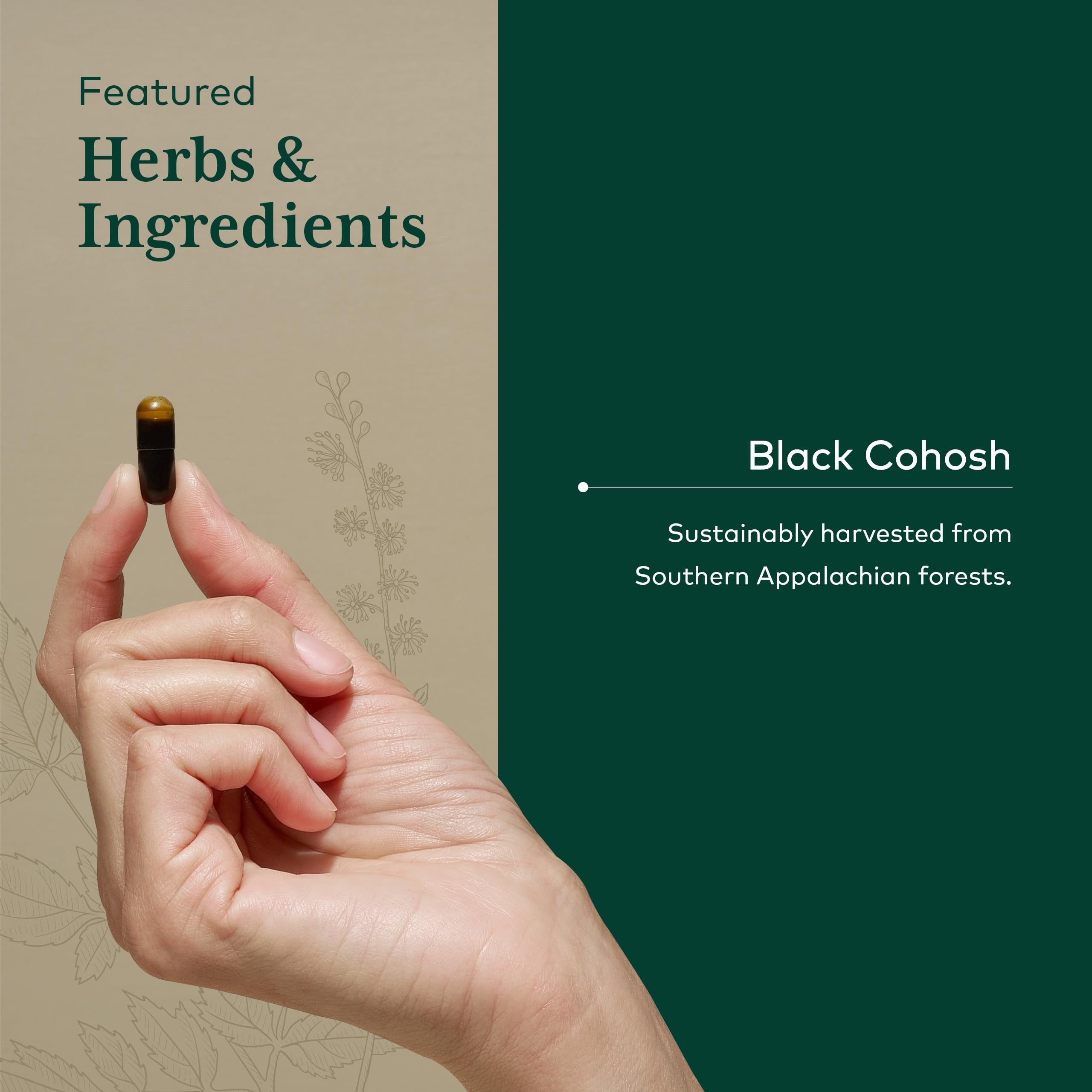GAIA Herbs Pro Black Cohosh Pro capsules for everyday wellness