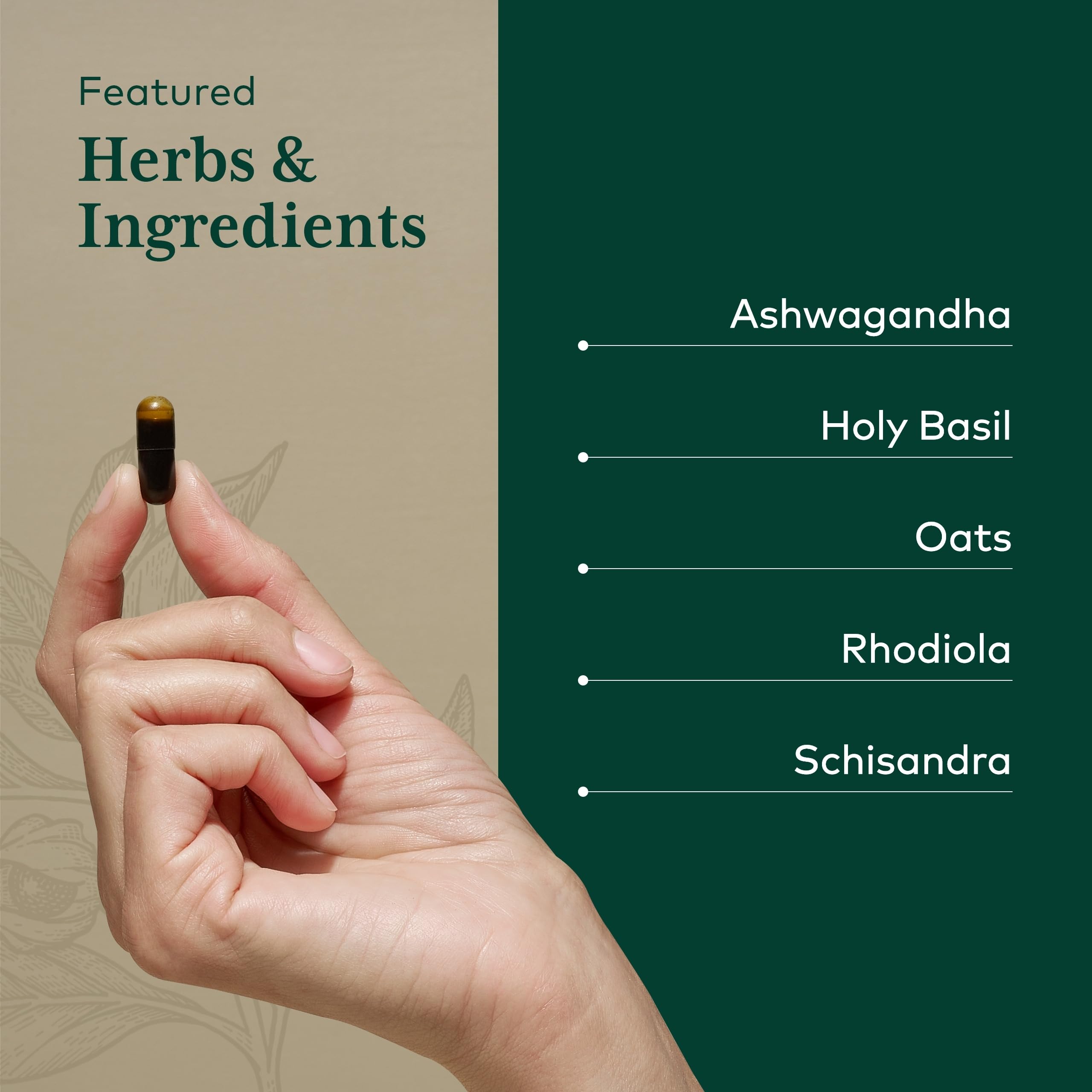 Gaia Herbs PRO Daytime HPA ingredients layout featuring ashwagandha, rhodiola, holy basil.