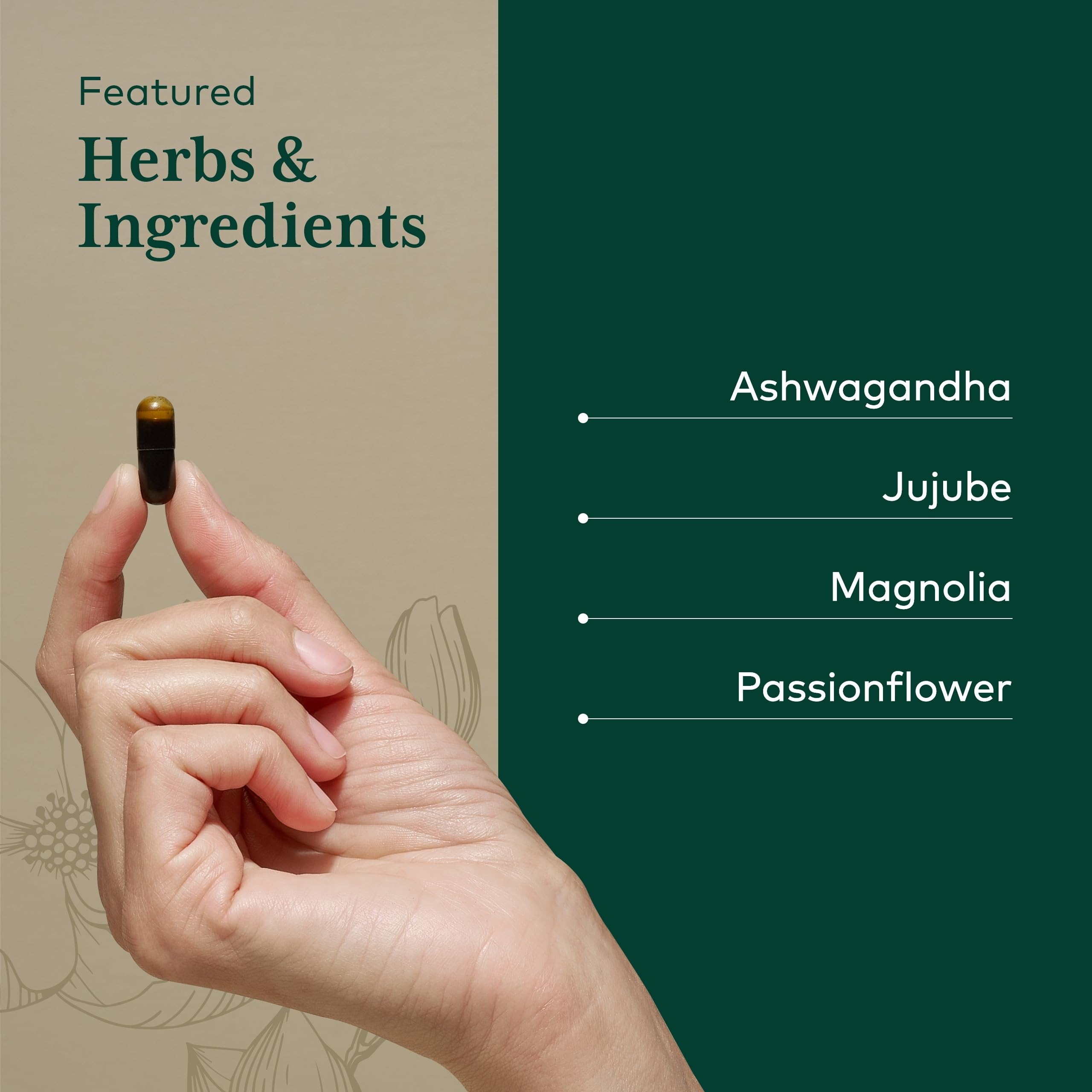 Gaia Herbs PRO jujube dates close-up, natural relaxation