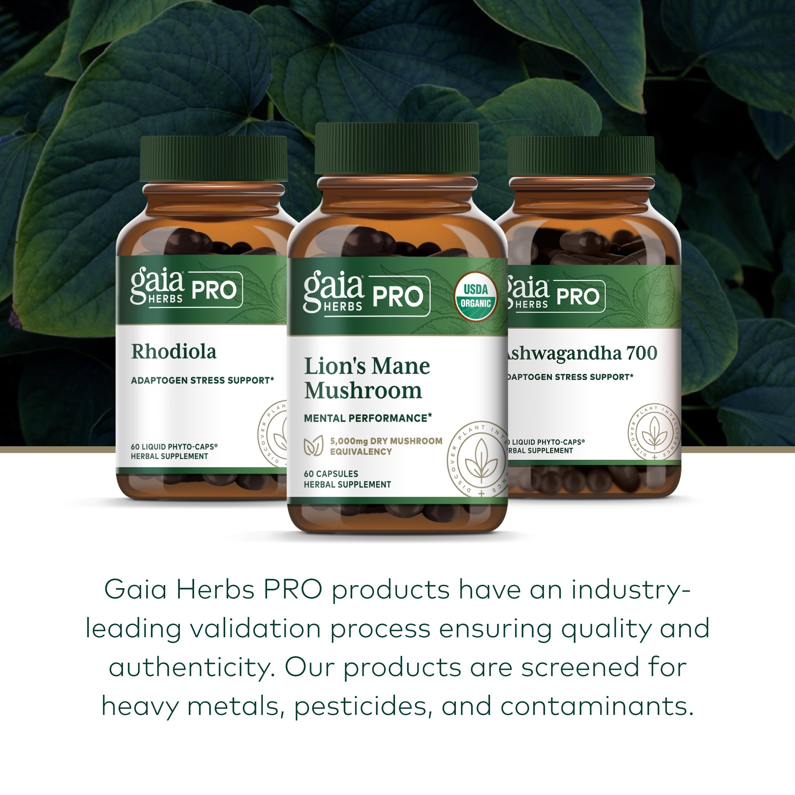 Gaia Herbs PRO Lion's Mane regenerative organic farm image highlighting ethical sourcing