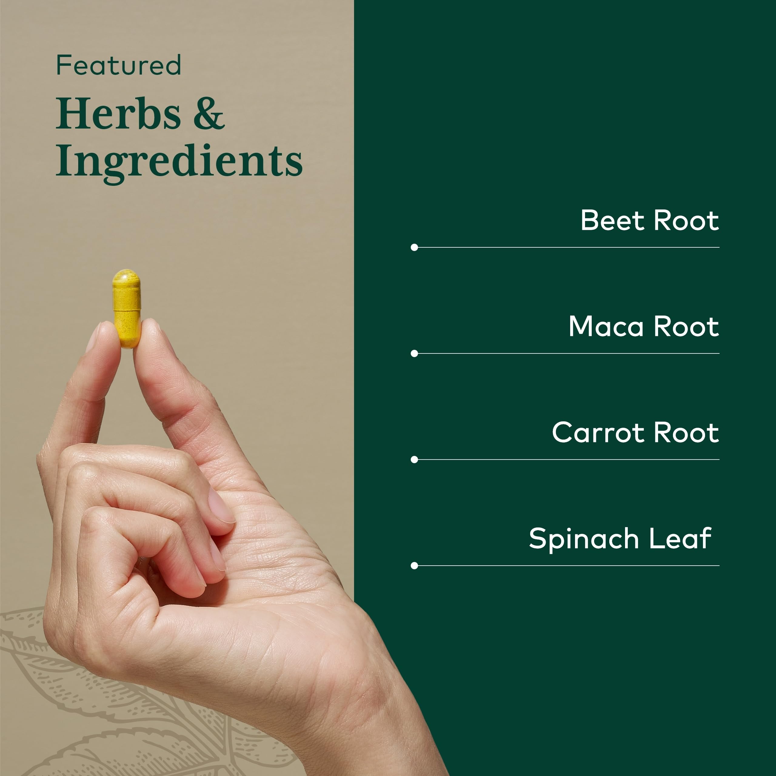 Gaia Herbs PRO Fermented Beet & Maca maca root energy scene suggesting sustained vitality.