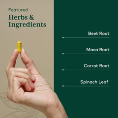 Gaia Herbs PRO Fermented Beet & Maca maca root energy scene suggesting sustained vitality.
