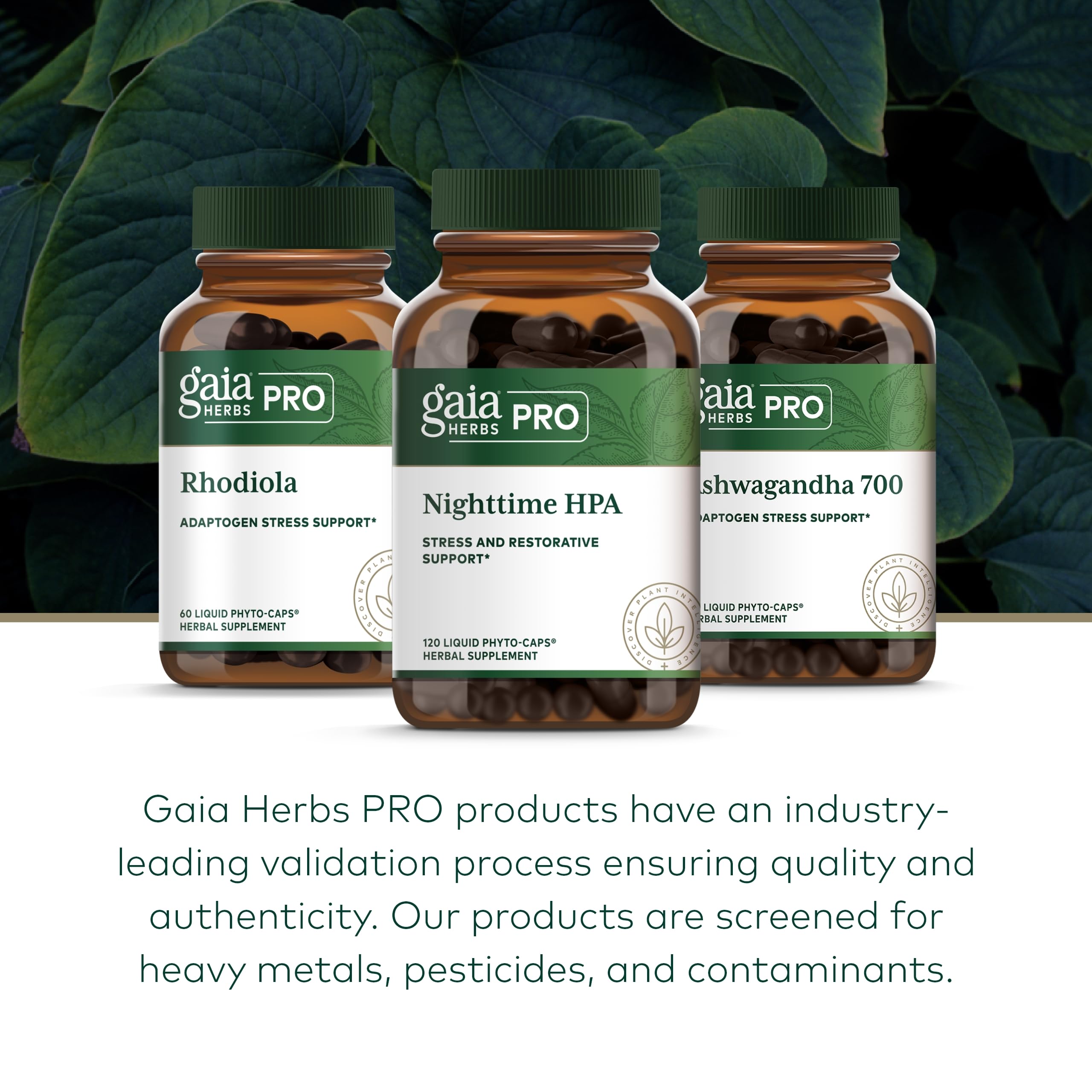 Gaia Herbs Pro Nighttime HPA foil packaging emphasizes freshness.