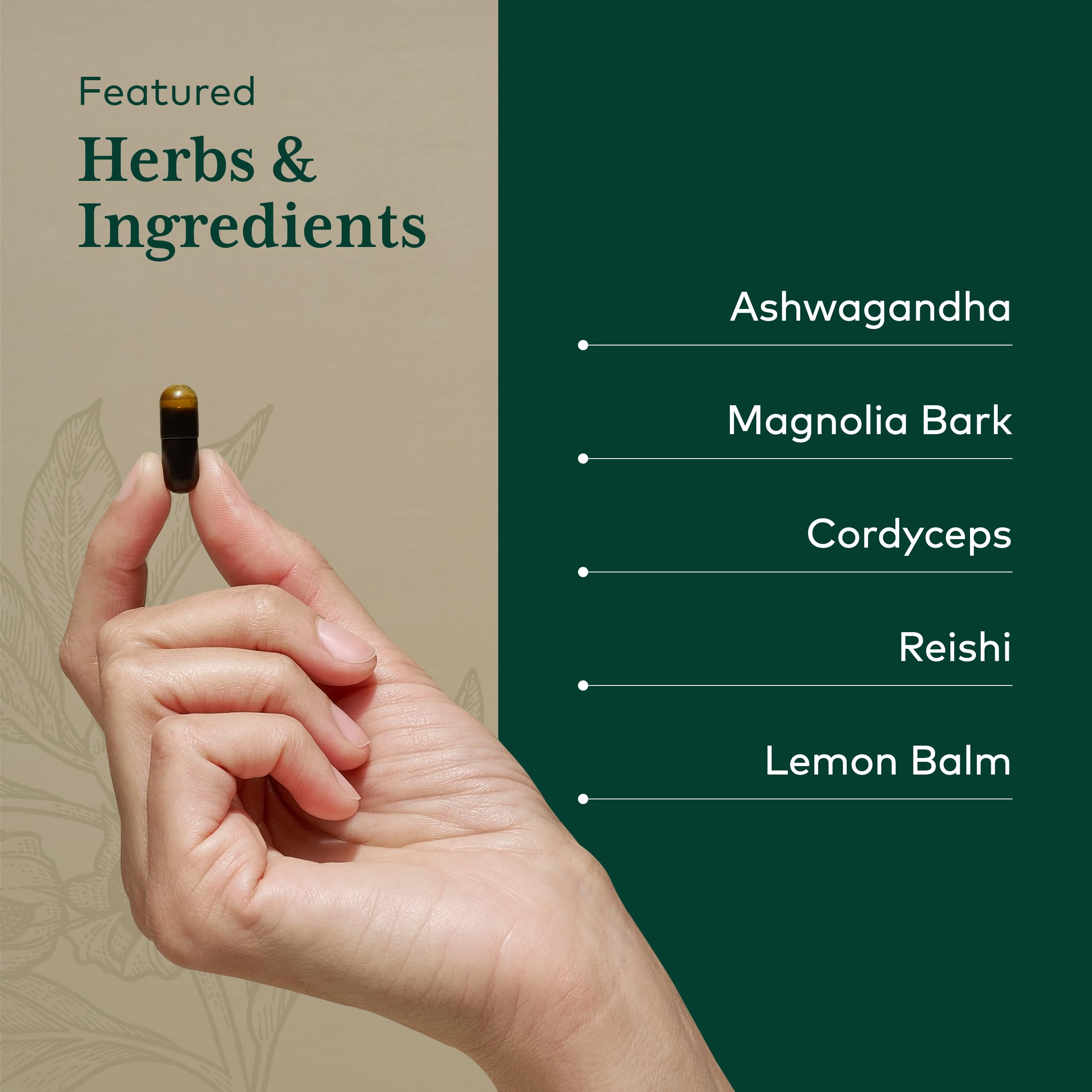 Gaia Herbs Pro Nighttime HPA ingredient panel highlights key botanicals.