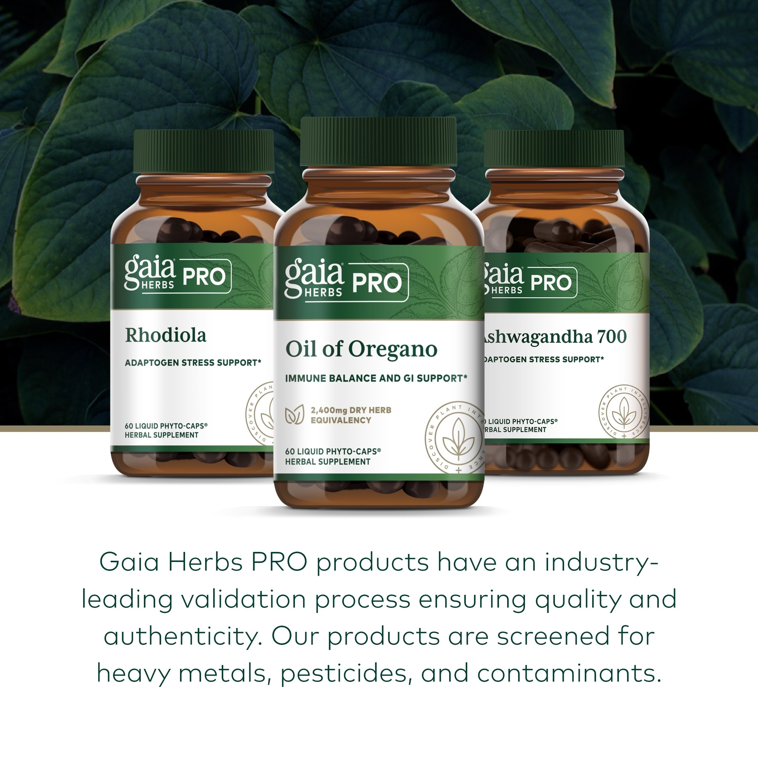 GAIA Herbs PRO Oil of Oregano packaging eco-friendly design.