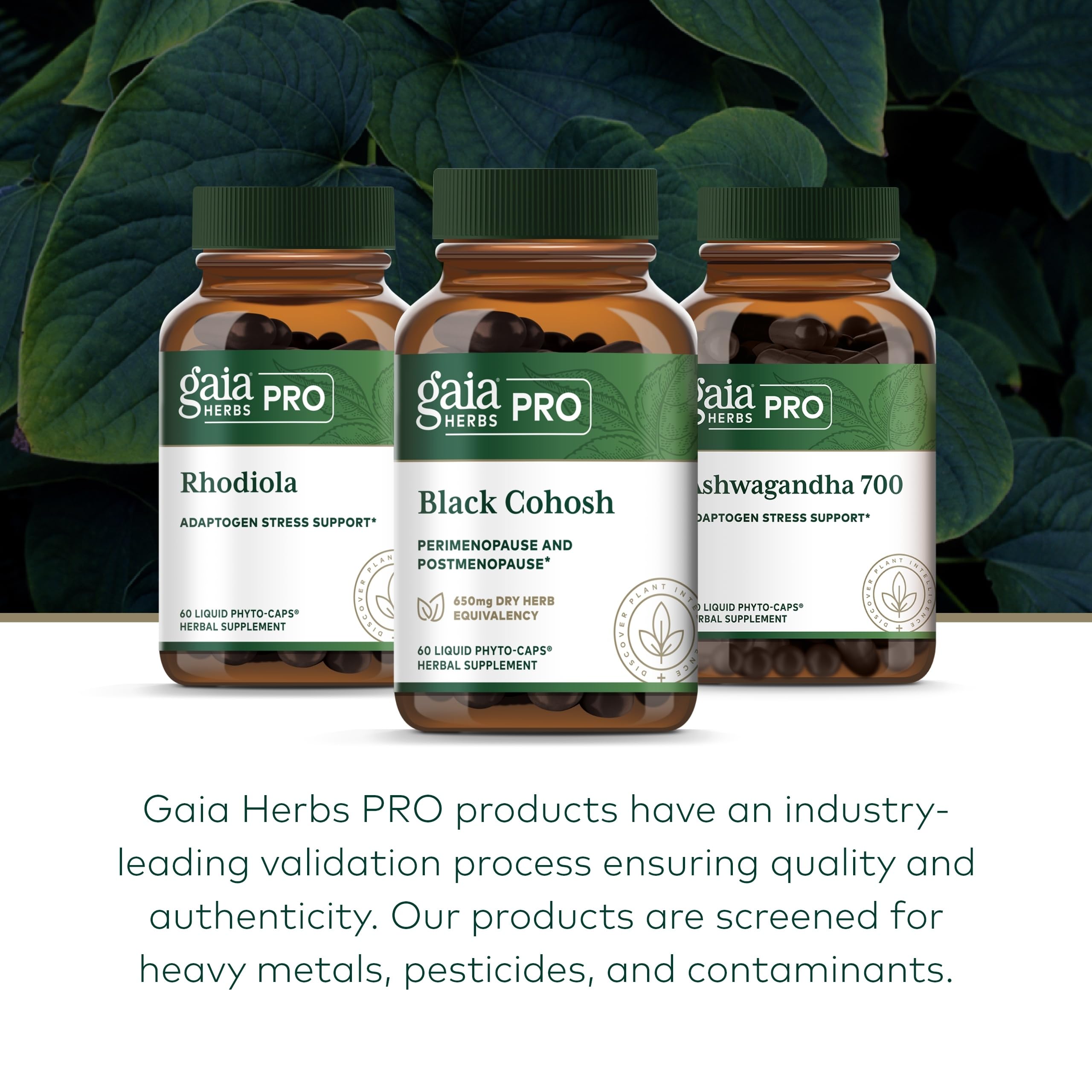 GAIA Herbs Pro quality testing lab ensuring potency and purity