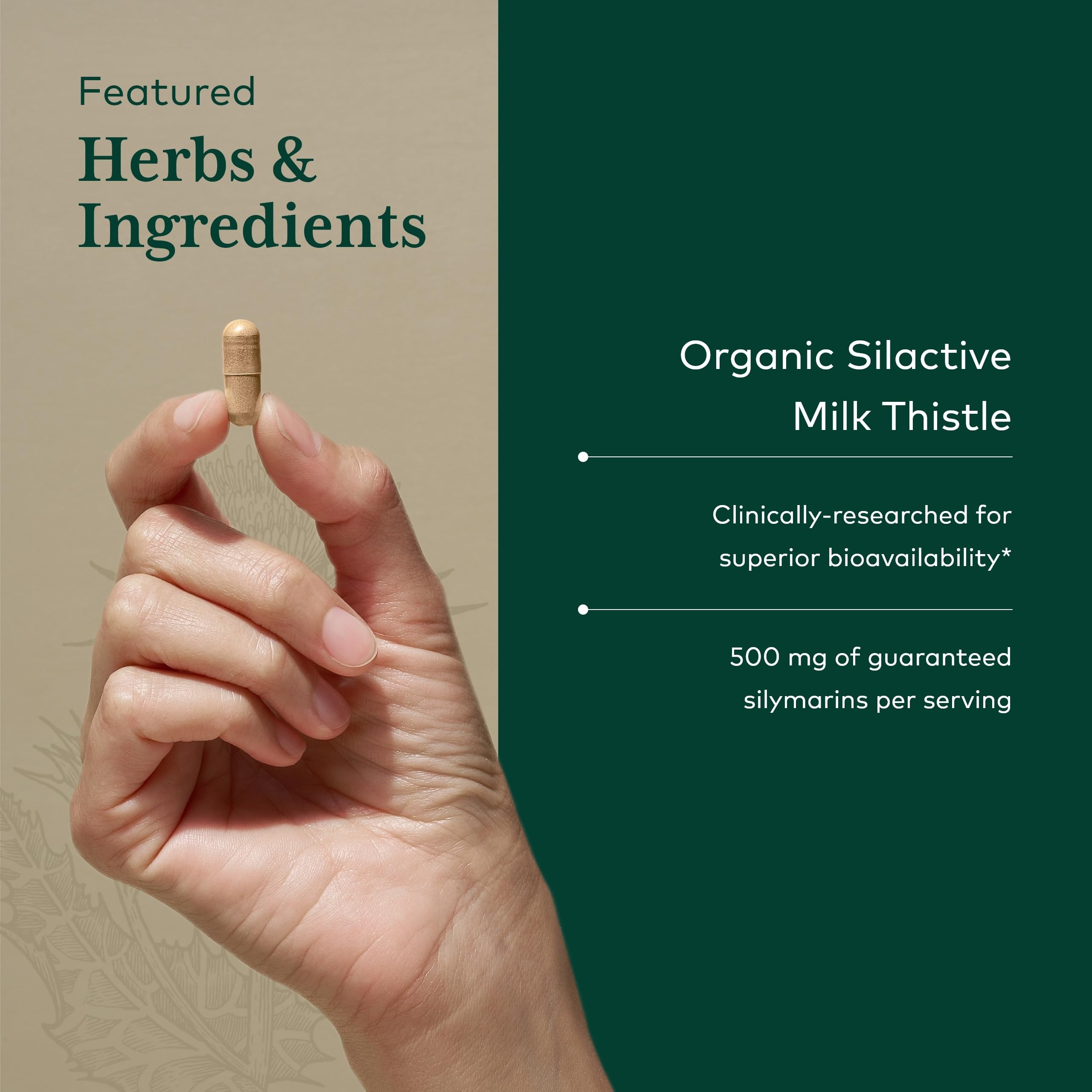 Regenerative organic farm in North Carolina where Gaia Herbs PRO grows herbs.