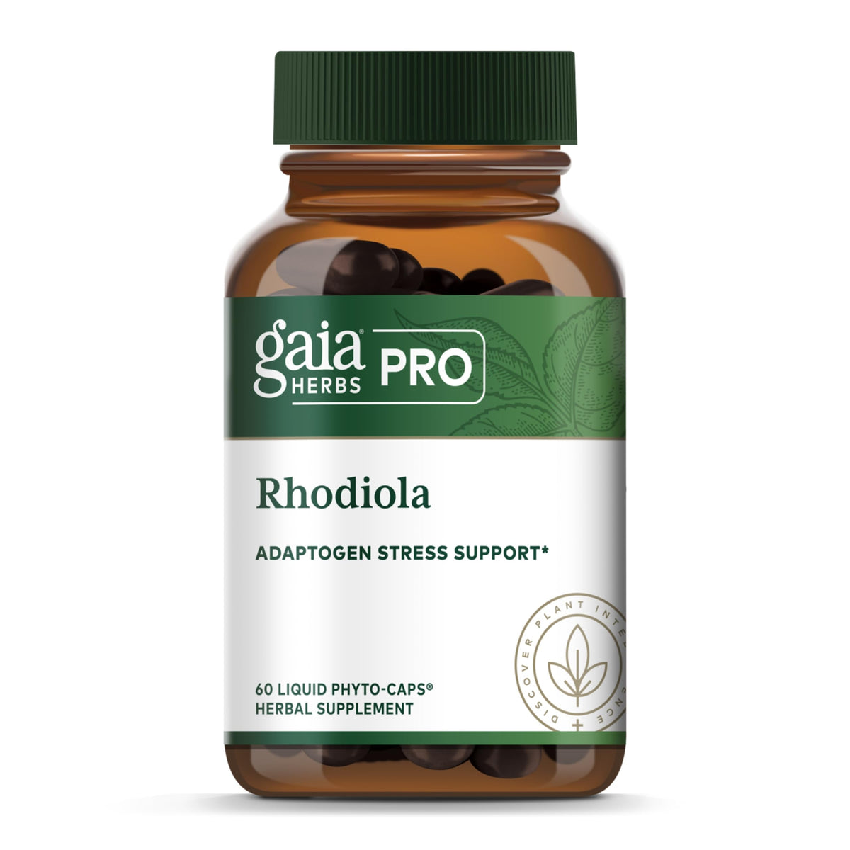 GAIA Herbs PRO Rhodiola bottle front showing vegan energy support