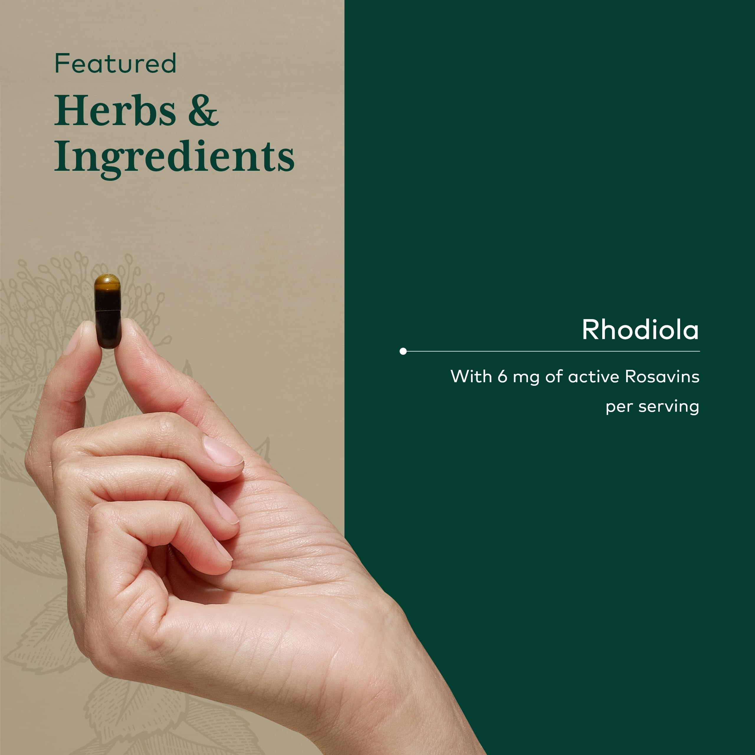 GAIA Herbs PRO Rhodiola capsules close-up