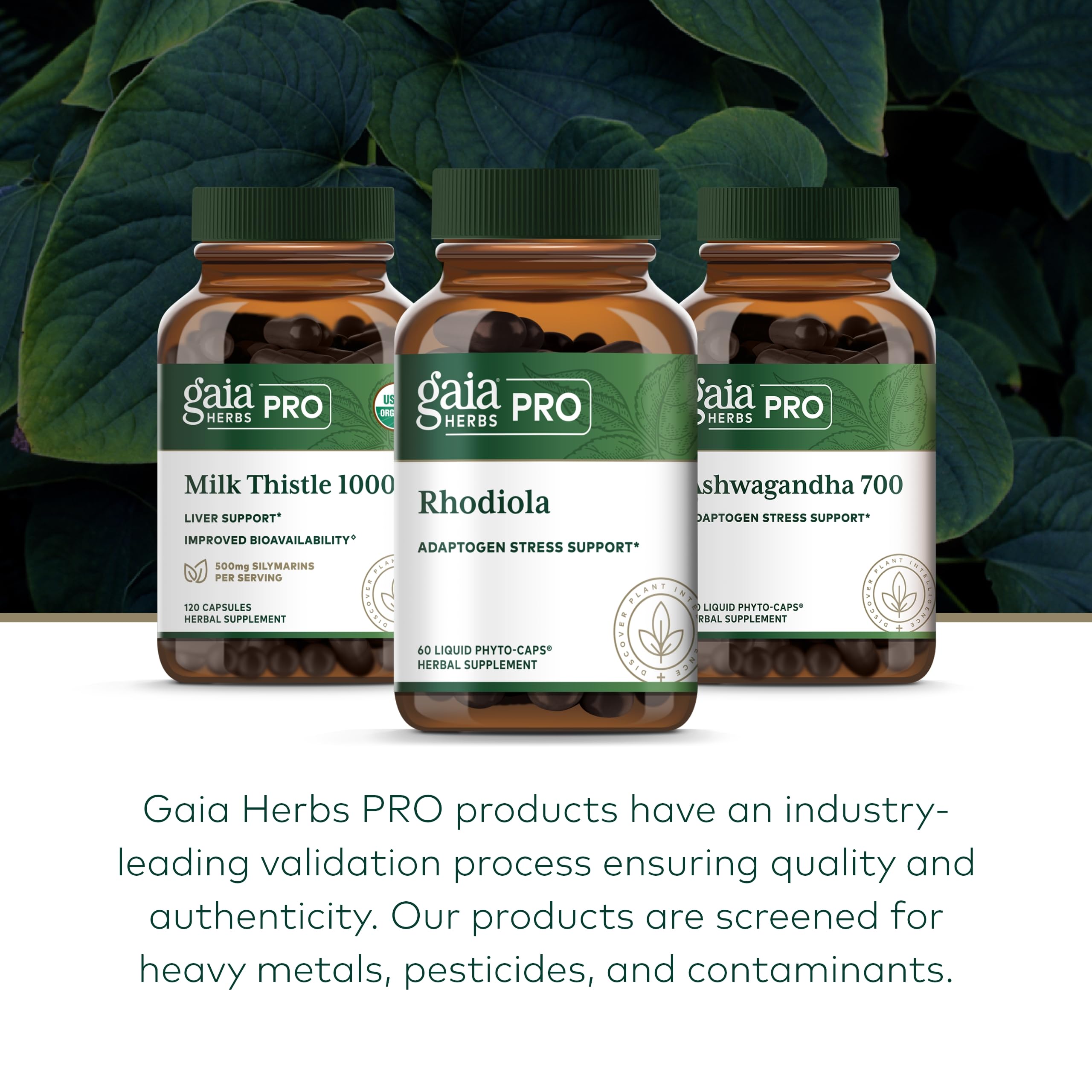 GAIA Herbs PRO Rhodiola dosage directions on bottle