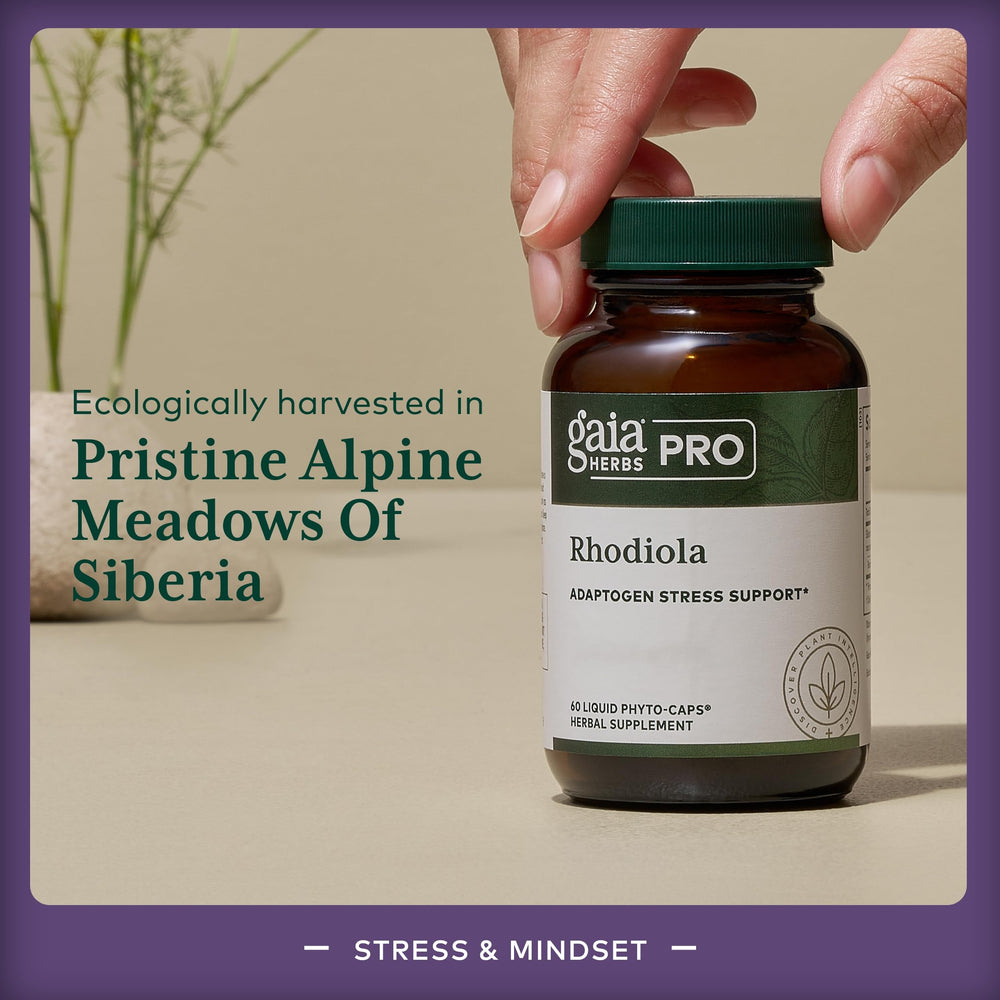 GAIA Herbs PRO Rhodiola label notes 6 mg rosavins potency