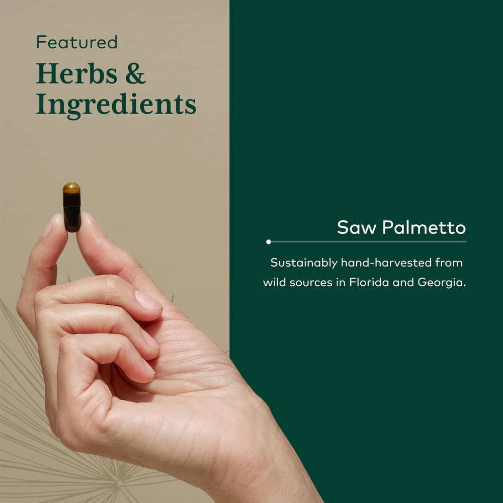 GAIA Herbs PRO sunflower lecithin capsule close-up emphasizes healthy fats.