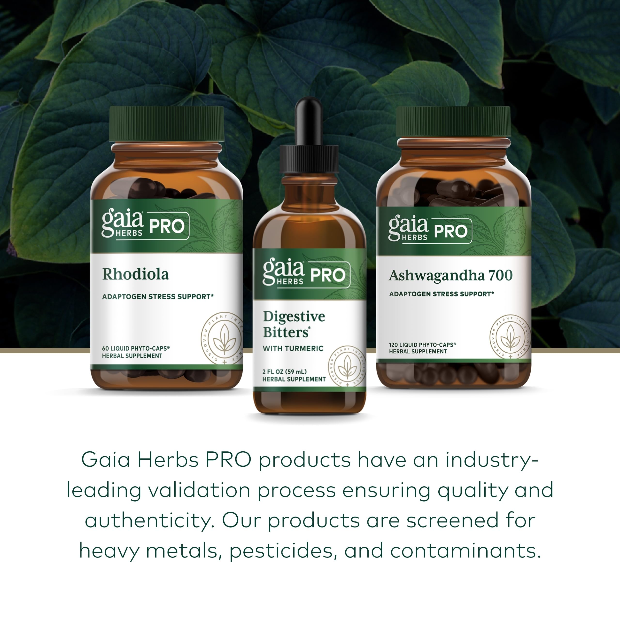 GAIA Herbs Pro turmeric-based bitters roots and seeds support digestive enzyme function.