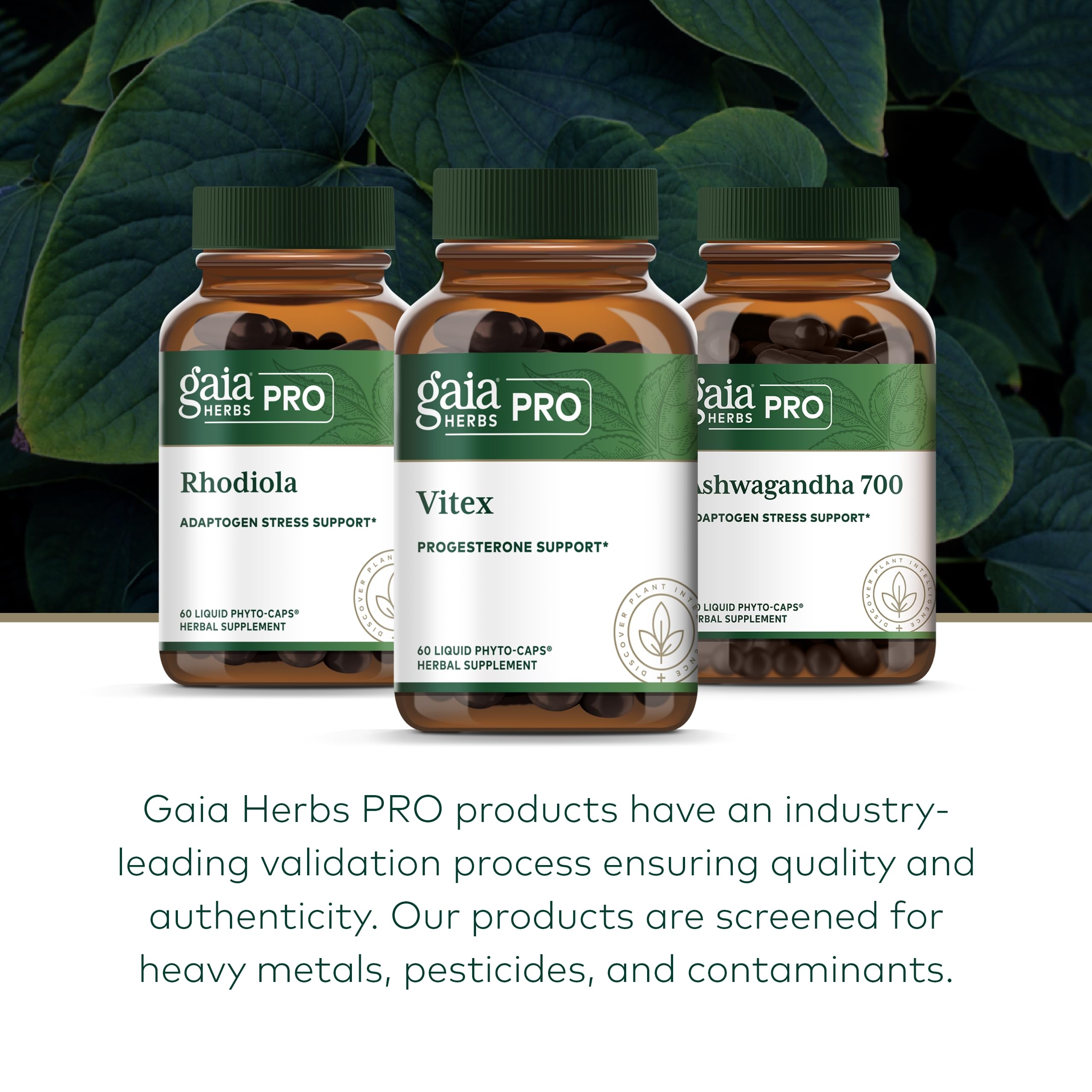 Gaia Herbs PRO Vitex PRO herbal blend box open with fresh herbs